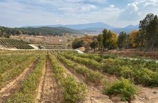 turkiye/isparta/keciborlu/la-vie-en-rose-otel_e1f17f30.jpg