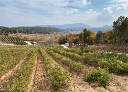 turkiye/isparta/keciborlu/la-vie-en-rose-otel_e1f17f30.jpg