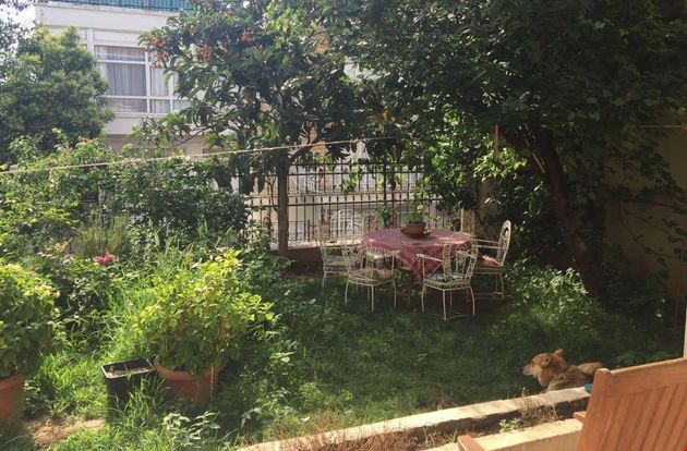 turkiye/istanbul/adalar/akgun-butik-otel_969defc1.jpeg