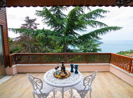 turkiye/istanbul/adalar/dream-mansion_40679da2.jpg