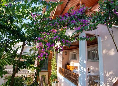 turkiye/istanbul/adalar/dream-mansion_53fe2e3f.jpg