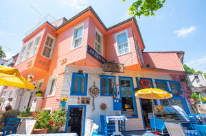 turkiye/istanbul/adalar/kinaliada-nisi-pansiyon_fbd86f5f.jpg