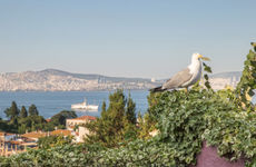 turkiye/istanbul/adalar/lisola-guesthouse_d3fa1754.jpg