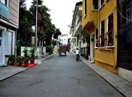 turkiye/istanbul/adalar/selanikli-pansiyon-heybeliada-0f0df16f.jpg