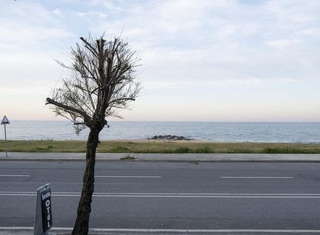turkiye/istanbul/arnavutkoy/ideal-butik-otel_03109b9a.jpg