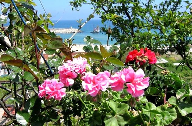 turkiye/istanbul/arnavutkoy/karaburun-gizli-bahce-butik-otel-d63e76e9.jpg