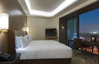 King Deluxe Room