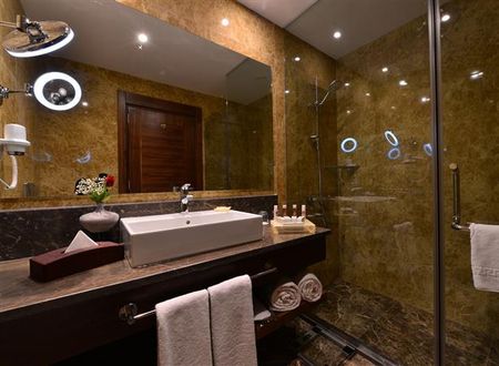turkiye/istanbul/bagcilar/clarion-hotel-istanbul-mahmutbey-1079197745.png