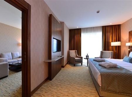 turkiye/istanbul/bagcilar/clarion-hotel-istanbul-mahmutbey-4313614.png