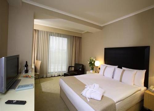 turkiye/istanbul/bagcilar/holiday-inn-istanbul-airport-hotel-1425205672.png