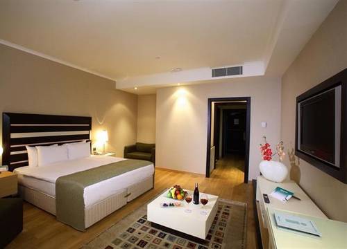 turkiye/istanbul/bagcilar/holiday-inn-istanbul-airport-hotel-165127489.png