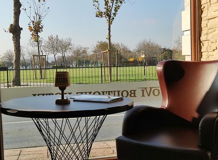 turkiye/istanbul/bakirkoy/floya-novi-boutique-hotel_58c8a9b5.jpg