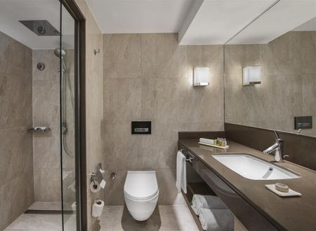 turkiye/istanbul/bakirkoy/renaissance-polat-istanbul-hotel-2751-415f4670.png