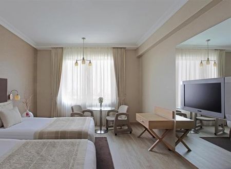 turkiye/istanbul/bakirkoy/wow-airport-hotel-299572055.png