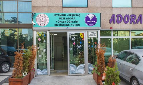 asian pirn büyük bekar erkekler