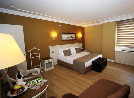 turkiye/istanbul/besiktas/bilek-istanbul-hotel-2149-5c9eb90a.jpg