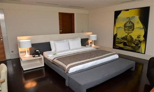 turkiye/istanbul/besiktas/dedeman-istanbul-2073-1515632175.JPG