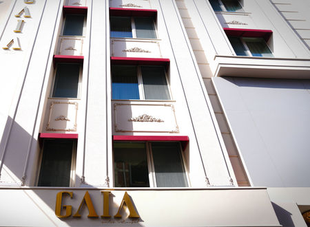 turkiye/istanbul/besiktas/gaia-suites-istanbul_19ee8996.jpg