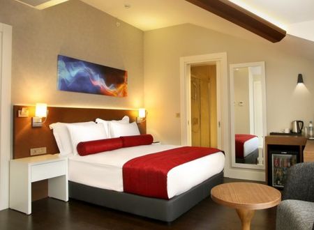 turkiye/istanbul/besiktas/veyron-hotels-1674715.jpg