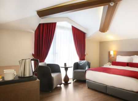 turkiye/istanbul/besiktas/veyron-hotels-1674749.jpg