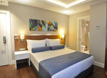 turkiye/istanbul/besiktas/veyron-hotels-333944058.jpg