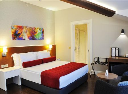 turkiye/istanbul/besiktas/veyron-hotels-497018097.jpg