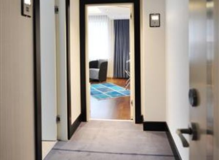 turkiye/istanbul/besiktas/veyron-hotels-772127053.JPG