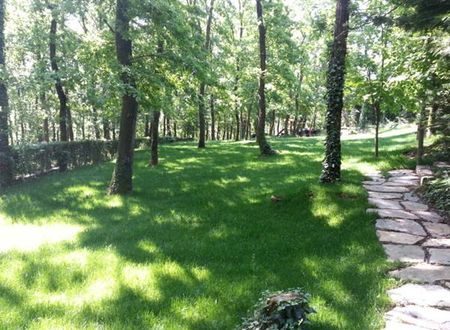 turkiye/istanbul/beykoz/green-house-garden-park-1708847431.jpg