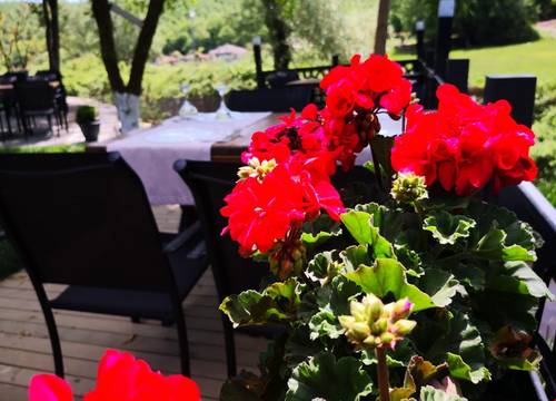 turkiye/istanbul/beykoz/hbs-boutique-hotel-restaurant_bb1d7ed2.jpg