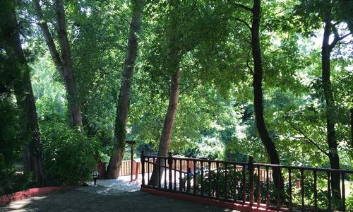 turkiye/istanbul/beykoz/villa-riva-garden_035a5786.jpg