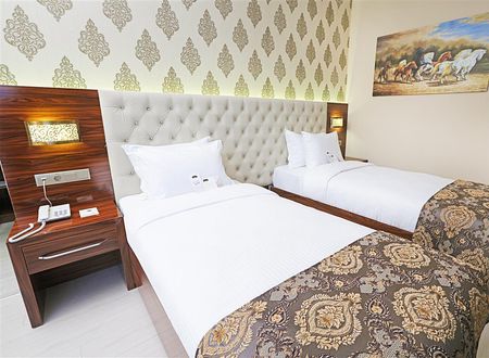 turkiye/istanbul/beylikduzu/reis-inn-hotel-c90bad54.jpg