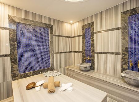 turkiye/istanbul/beyoglu/alemeyn-the-taksim-leons-hotel-spa-cafe_7334db64.jpg