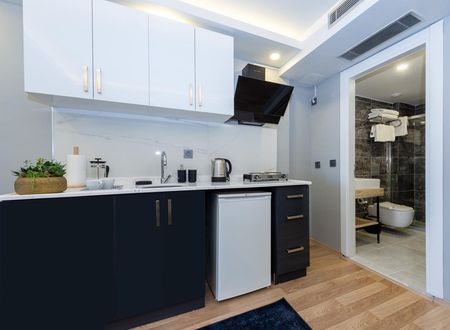 turkiye/istanbul/beyoglu/art-karakoy-suites-hotel_ca986dee.jpg