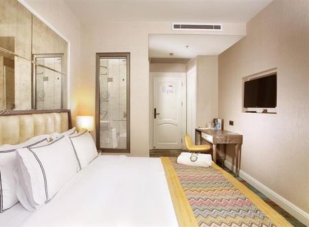 turkiye/istanbul/beyoglu/berjer-boutique-hotelspa-1027538497.png