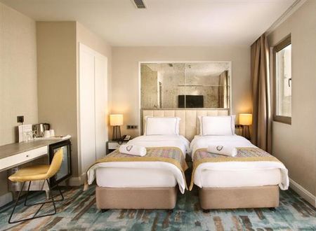 turkiye/istanbul/beyoglu/berjer-boutique-hotelspa-132093759.png