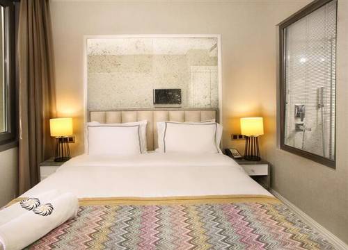 turkiye/istanbul/beyoglu/berjer-boutique-hotelspa-647229559.png