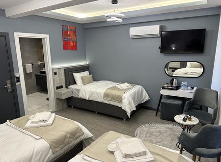 turkiye/istanbul/beyoglu/blue-moonrise-hotel_8c9e2e56.jpg