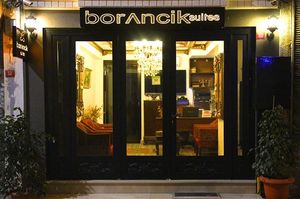 turkiye/istanbul/beyoglu/borancik-suites-2009247618.jpg