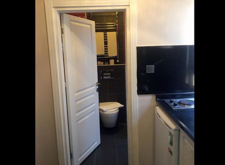turkiye/istanbul/beyoglu/borancik-suites-2_576f6ba7.jpg