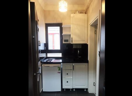 turkiye/istanbul/beyoglu/borancik-suites-2_ae94e73e.jpg