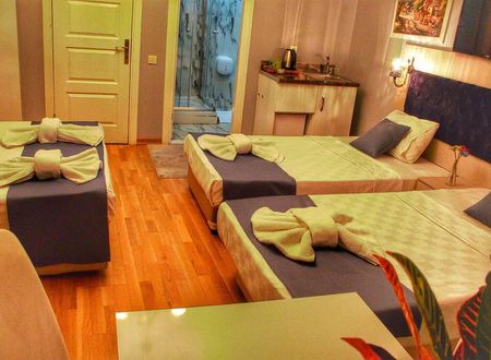 turkiye/istanbul/beyoglu/cetinkaya-suite-hotel-dfd789fc.jpg