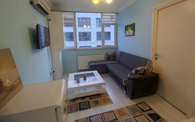 Colorful 1+1 Flat In A Central Location In Galata · 3