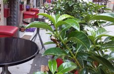 turkiye/istanbul/beyoglu/consept-suites-taksim_f96f9050.jpg