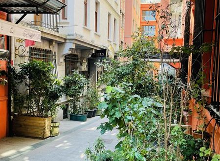 turkiye/istanbul/beyoglu/hotel-fresia-istanbul_a34d9e2a.jpg