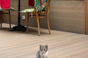 turkiye/istanbul/beyoglu/lina-hotel-taksim-pera_453aeb3d.jpg