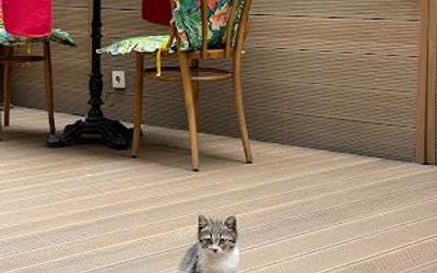 Lina Hotel Taksim Pera · 3