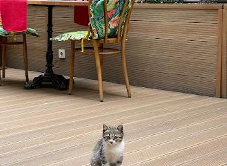 turkiye/istanbul/beyoglu/lina-hotel-taksim-pera_453aeb3d.jpg
