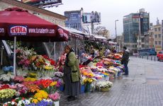 turkiye/istanbul/beyoglu/lion-37-studios_043d6154.jpg