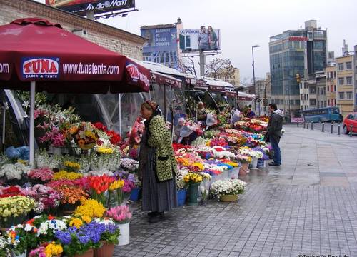 turkiye/istanbul/beyoglu/lion-37-studios_043d6154.jpg