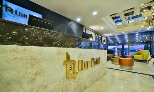 turkiye/istanbul/beyoglu/lion-hotel-582f8313.jpg